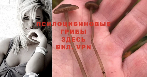 гидропоника Малоярославец