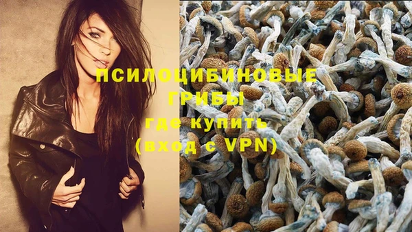 СК Навашино