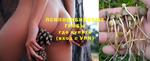 трава Михайлов