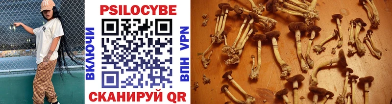 Псилоцибиновые грибы Cubensis  OMG tor  площадка как зайти  Нытва 